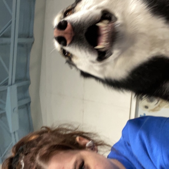 Meet your Posher, Molly - Picture 2 of 3